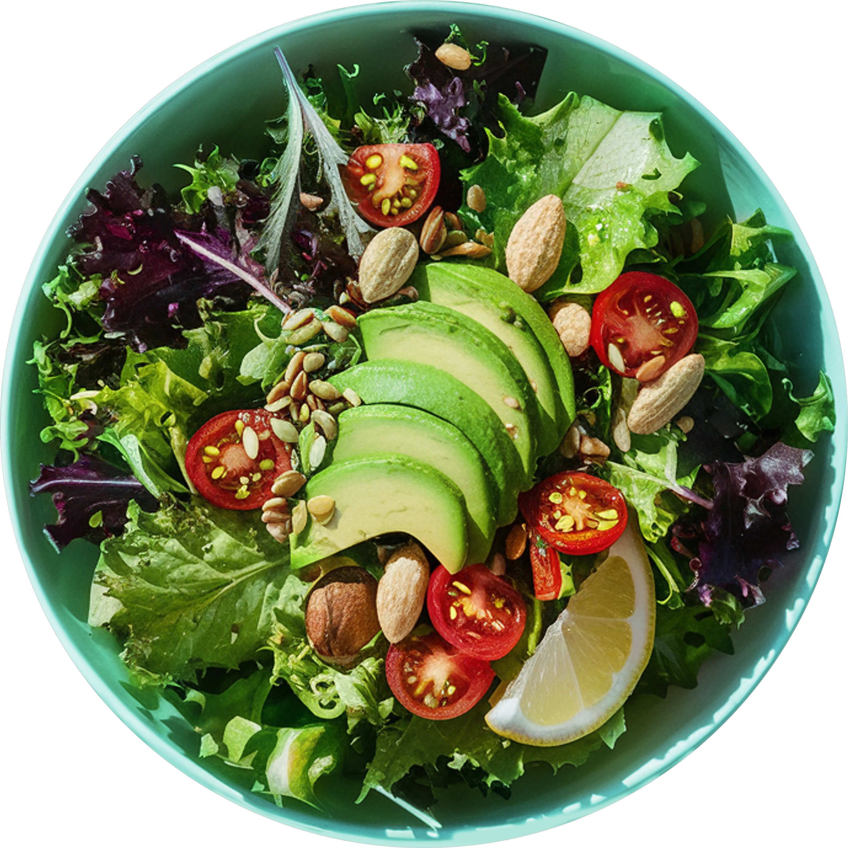 Contact Us right img